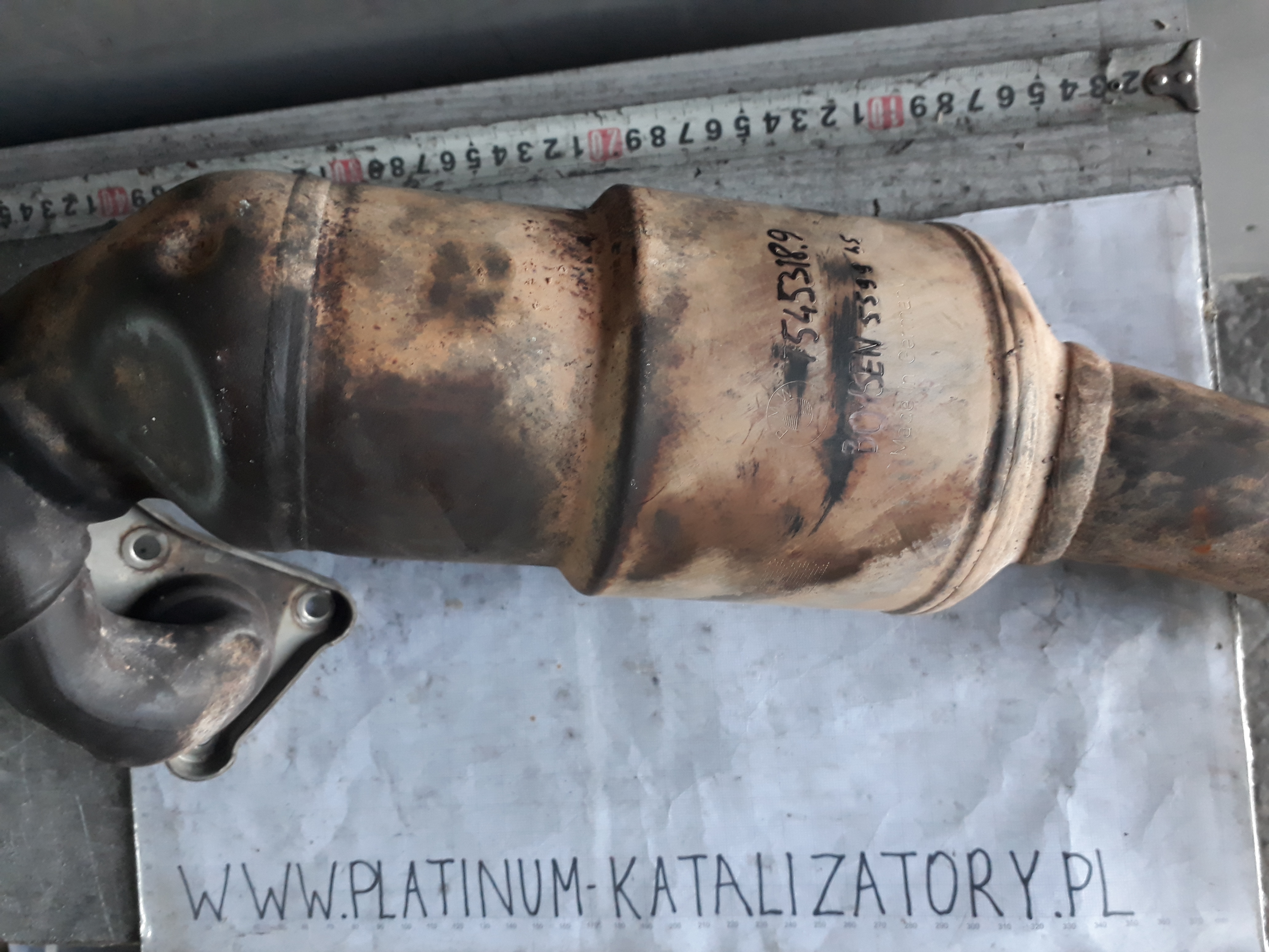Katalizator 7545318.9
