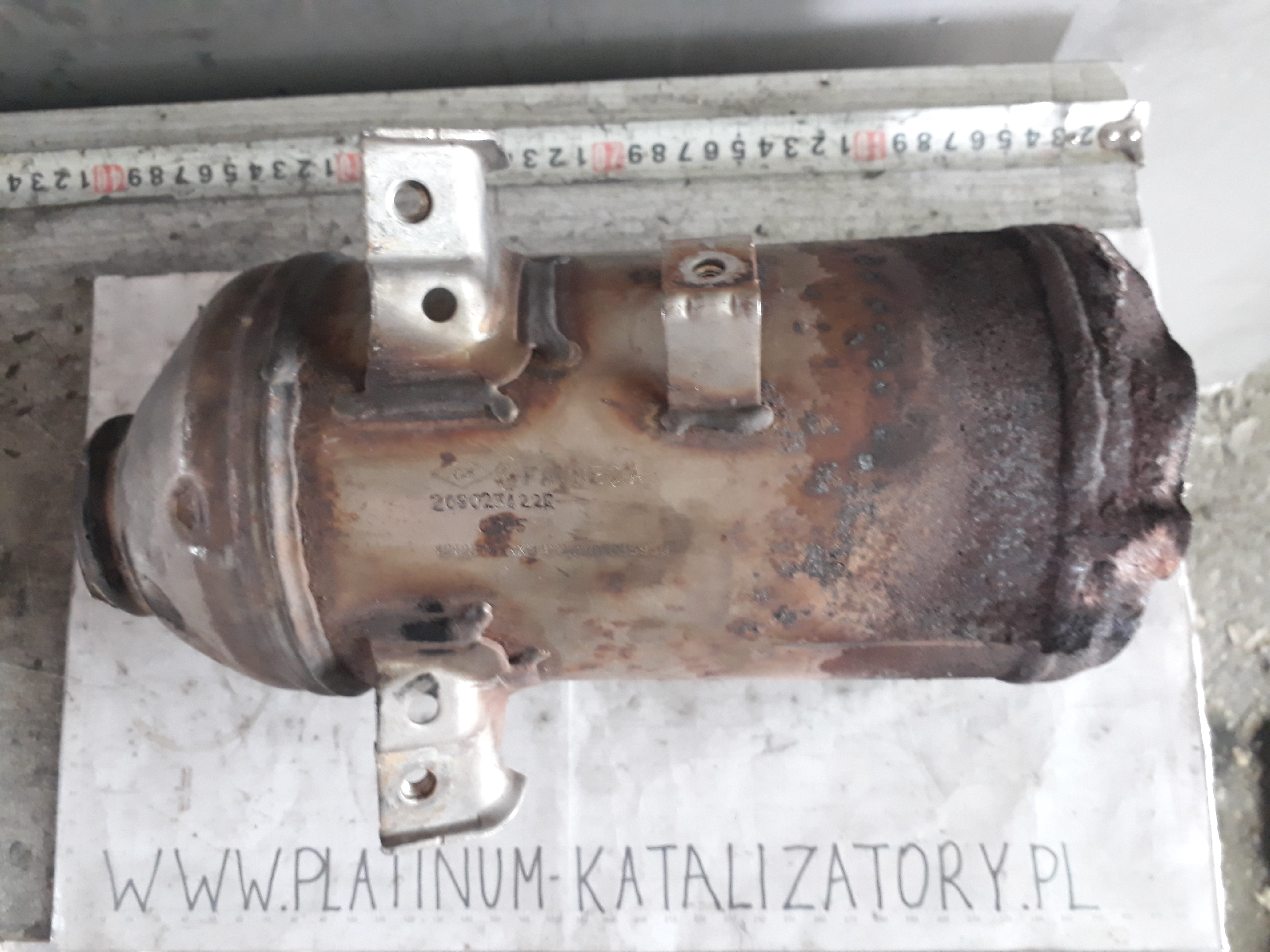 Katalizator C565 208023422R