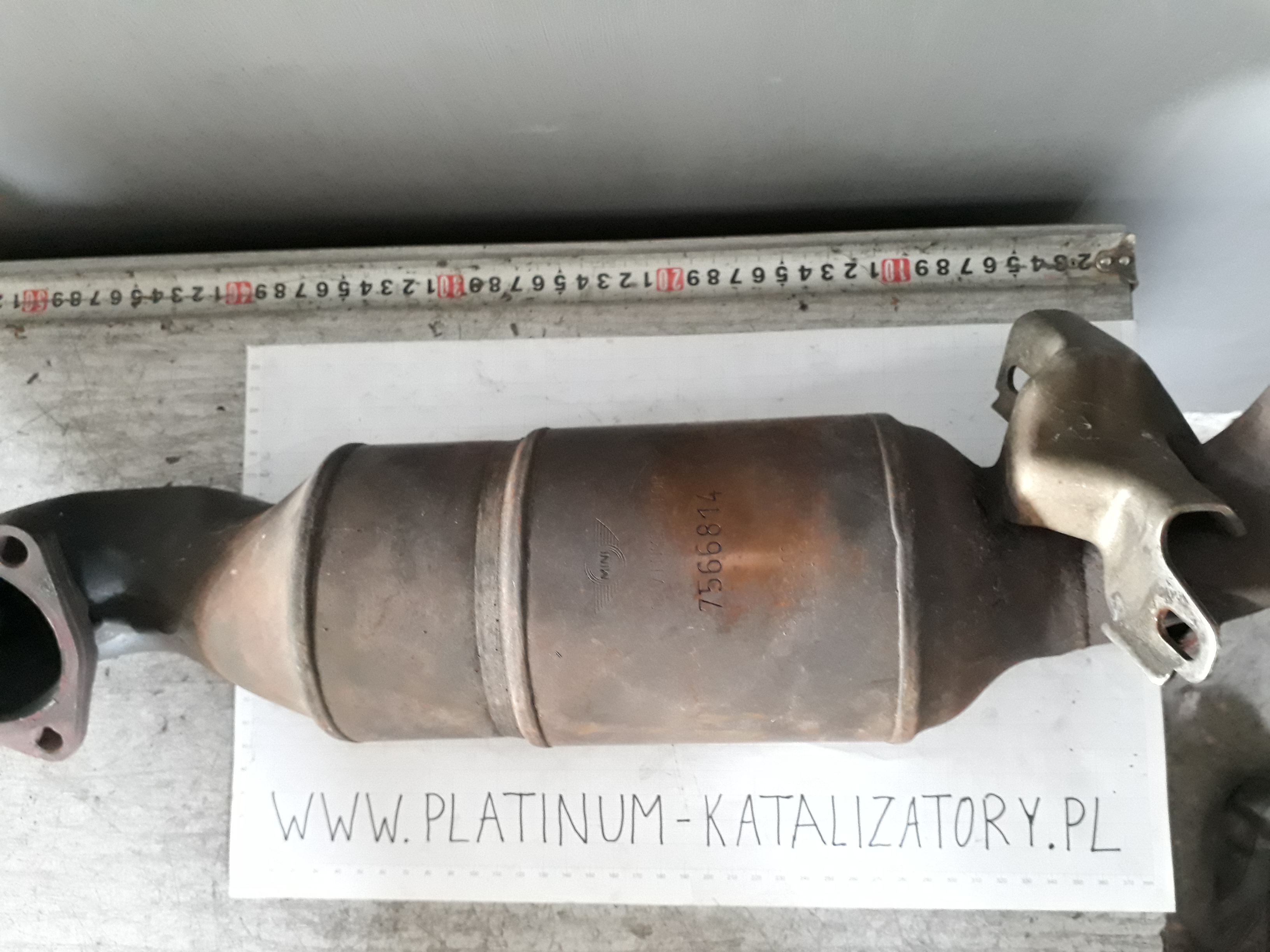 Katalizator 7566814